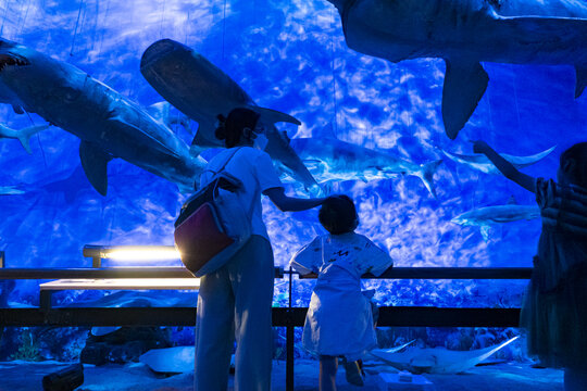 家人共赏水族馆奇妙景观