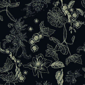 线描花卉