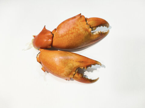 青蟹钳