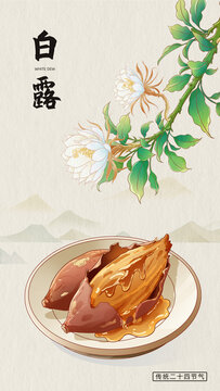 白露节气插画