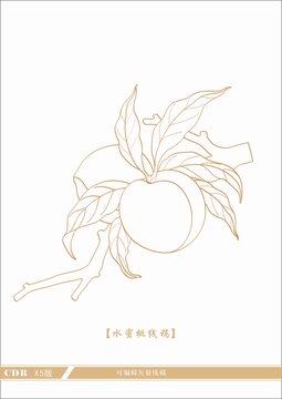 手绘线条风水蜜桃插画