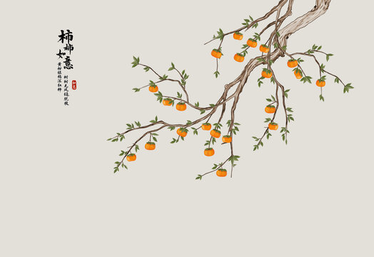 手绘柿子