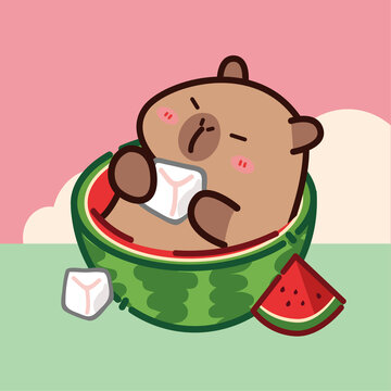 夏日躺在西瓜上的卡皮巴拉水豚