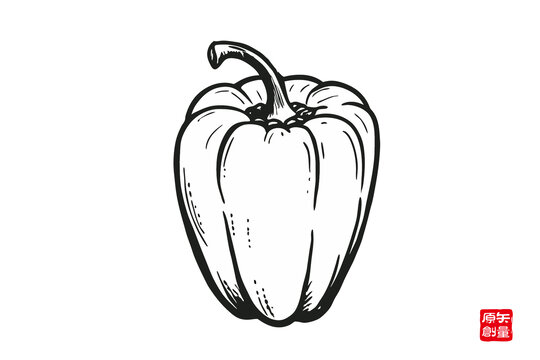 手绘黑白甜椒插画素材
