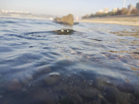 河畔浅滩