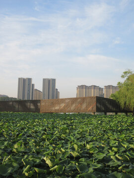 湖景房