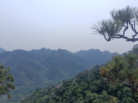 山峦葱郁间的青松景致辽宁千山