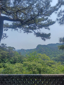 山林间的古朴景致