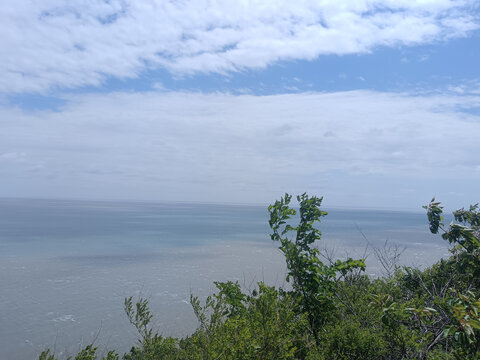 海边绿植与辽阔海天景致