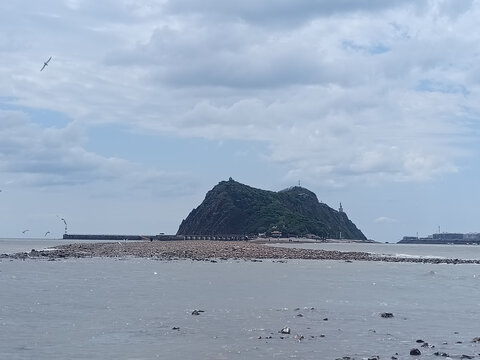 海边孤山与飞翔海鸟景致锦州笔架山