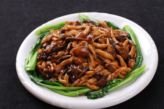 鲍汁珍菌