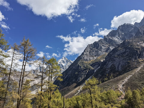 高山林海间的壮丽风光