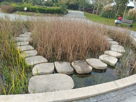 石墩小径旁的秋日湿地景观