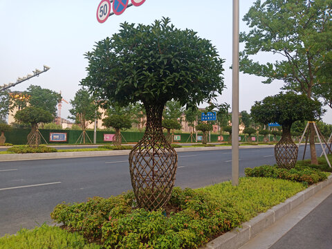道路旁别致的花瓶造型绿植