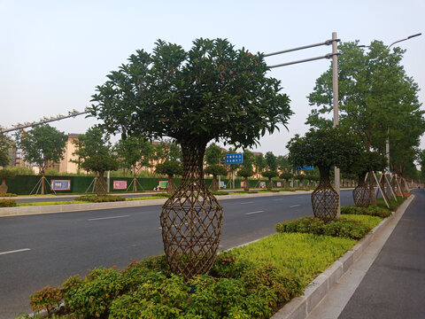造型独特的街道绿植景观