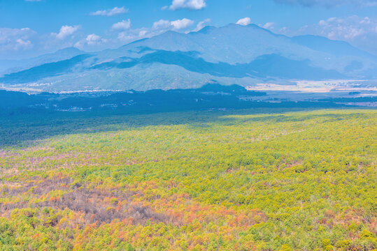 中国腾冲火山地热国家地质公园的树林植被