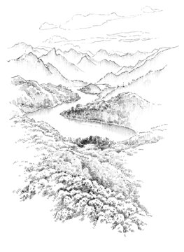 贵州毕节百里杜鹃钢笔画