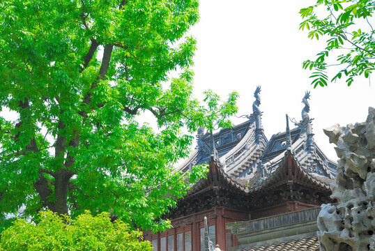 上海豫园中式古建与葱郁绿树景致