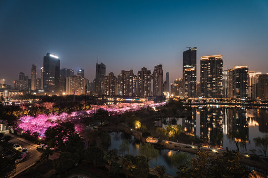 武汉西北湖公园樱花夜景