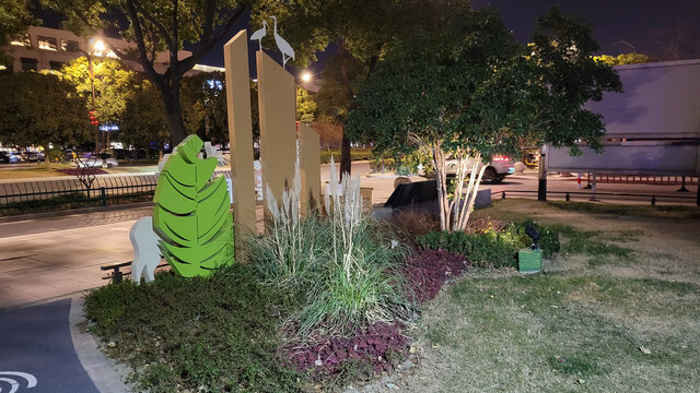 夜晚街边的绿植景观