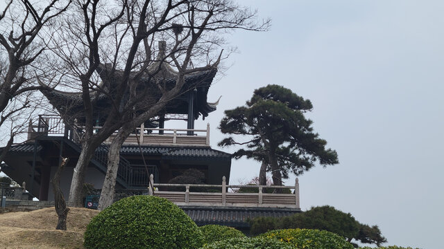 中式楼阁与葱郁树木景致