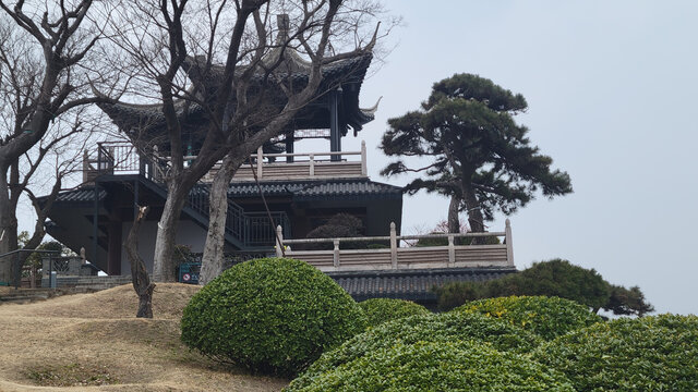中式古亭与葱郁绿植景致
