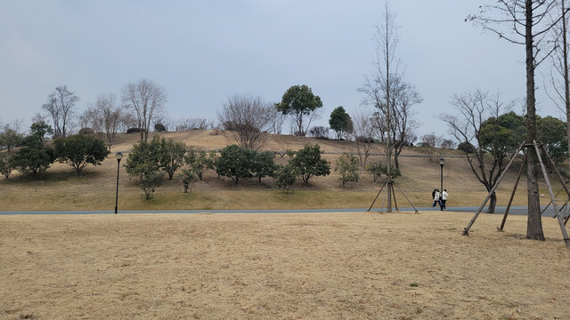 公园开阔草地与漫步行人