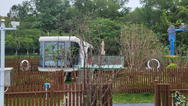 户外庭院中的精致小屋