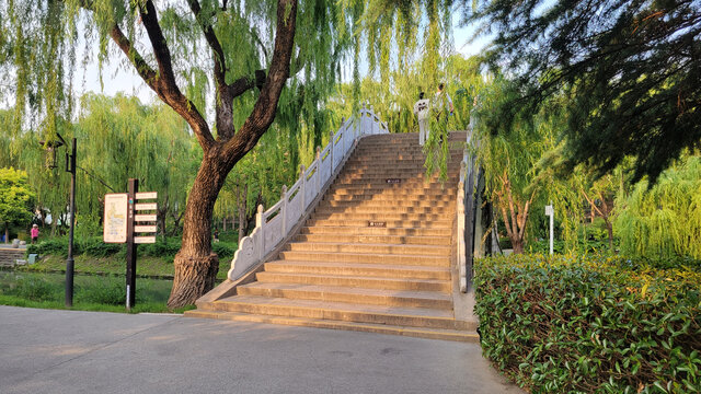 垂柳环绕的公园石梯景致