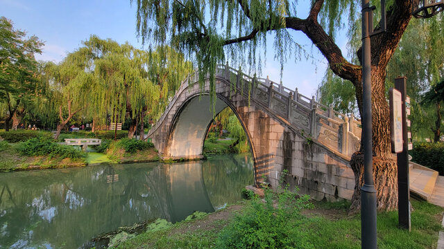 河畔古桥垂柳映美景