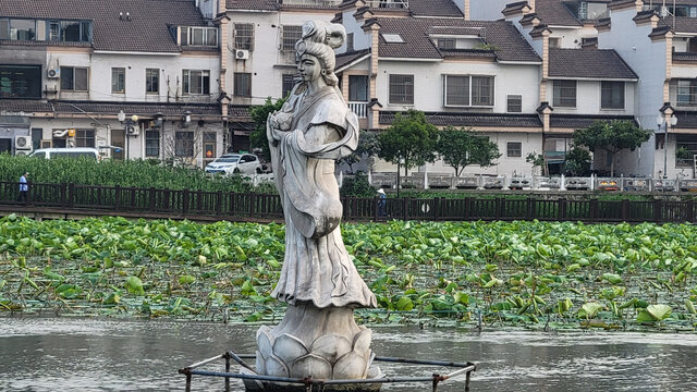 湖畔荷花丛中的古典美人雕像