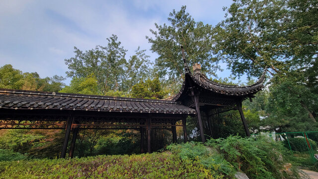 林中古朴中式亭廊景致