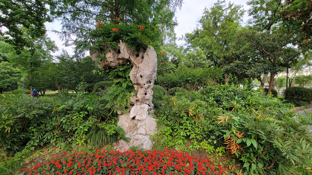 园林奇石与缤纷花草景致