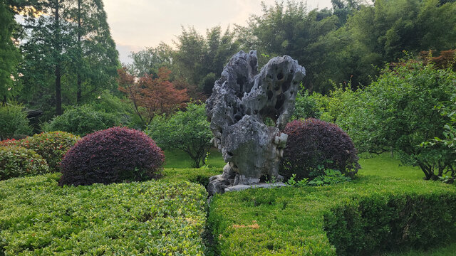 园林奇石与繁茂绿植景致