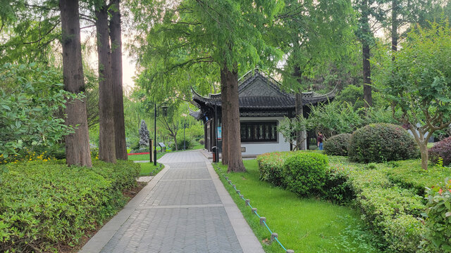 林间中式亭台的清幽景致