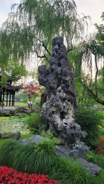 中式园林奇石绿植景致