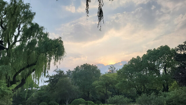 柳影映暮云的静谧园林