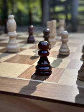 阳光下的国际象棋棋子