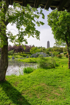 扬州瘦西湖景区眺望大明塔