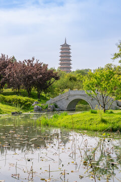 扬州瘦西湖景区自然景观