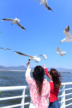 海边女孩与飞翔的海鸥