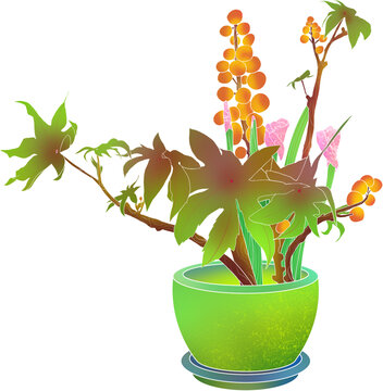 多彩盆栽花卉插画