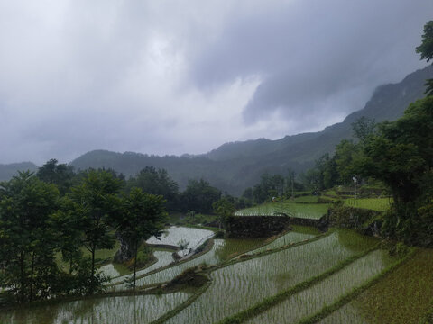 何家岩花田梯田美景