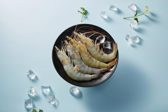 冰鲜大虾摆盘清新画面