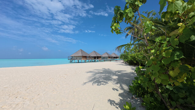 热带海滨的水上度假小屋