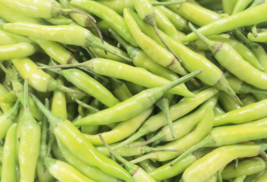 小米椒