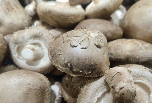 新鲜香菇