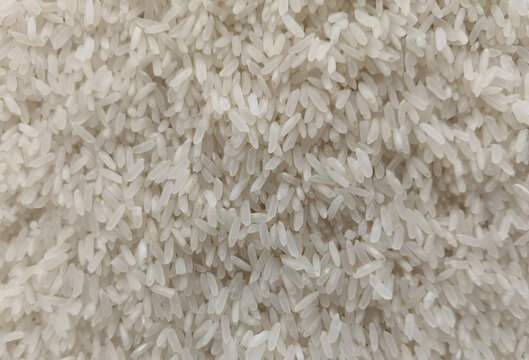 晶莹饱满的优质大米颗粒