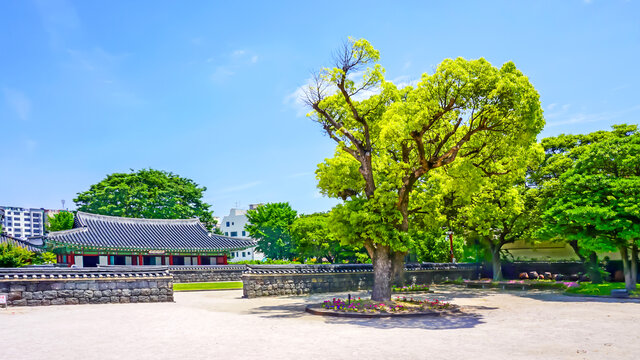 济州岛风景