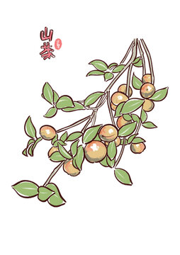 山茶油